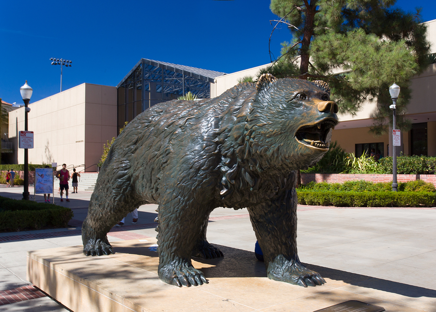 UCLA Offers Voluntary Mental Health Screening For All Students