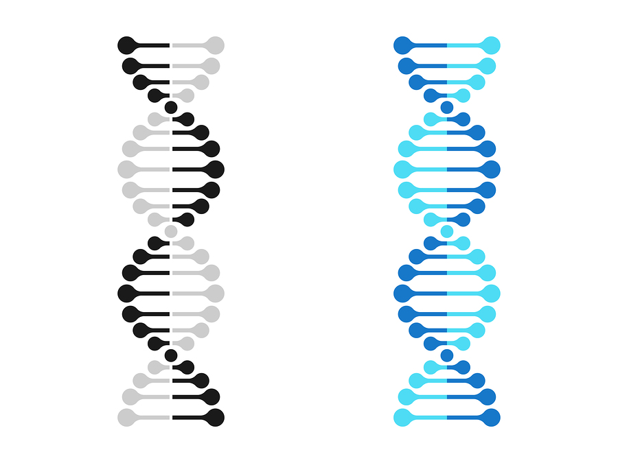 bigstock-Dna-Icon-Chromosome-Genetics-V-254438461