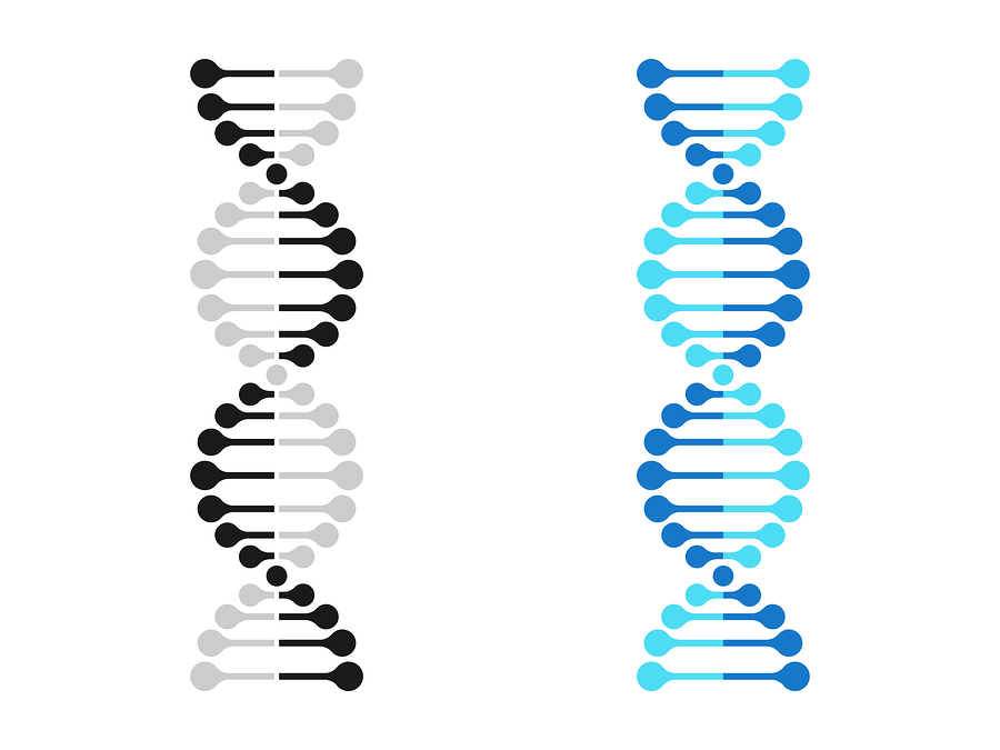 8. The Science Behind Blue Hair: Understanding the Role of Genetics and Environment - wide 2