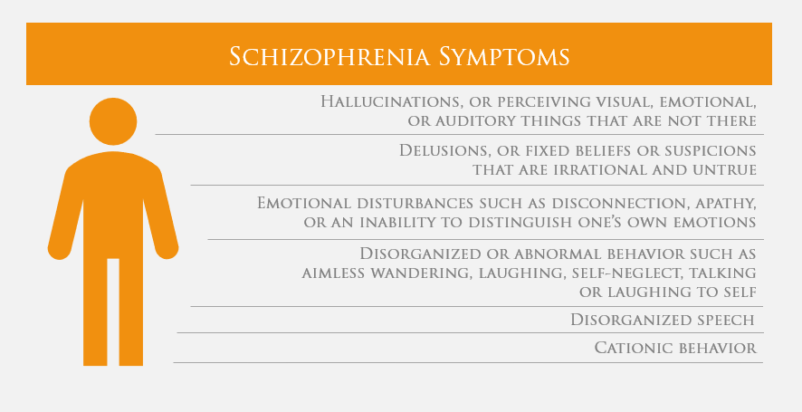 paranoid schizophrenia symptoms